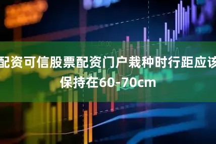 配资可信股票配资门户栽种时行距应该保持在60-70cm