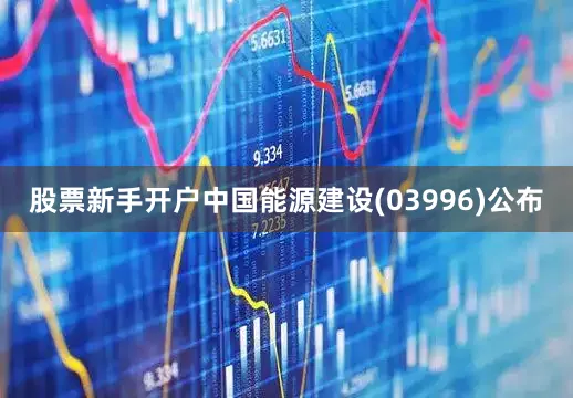 股票新手开户中国能源建设(03996)公布