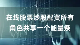 在线股票炒股配资所有角色共享一个能量条