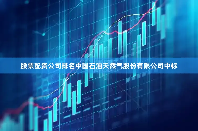 股票配资公司排名中国石油天然气股份有限公司中标